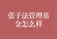 张子法管理基金的绩效与投资策略分析