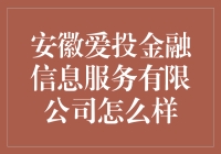 安徽爱投金融信息服务有限公司的综合评估