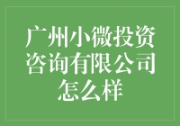 广州小微投资咨询有限公司：解析专业理财咨询服务的优势