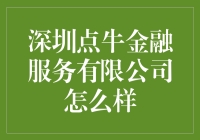 深圳点牛金融服务有限公司：探索新兴金融科技的领航者